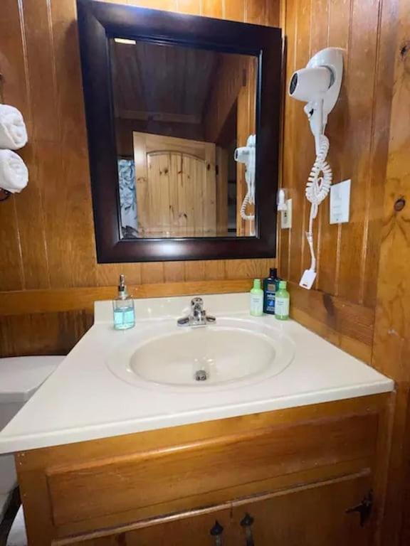Cozy Cabin: River View With Hot Tub Dahlonega Luaran gambar