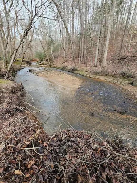 Cozy Cabin: River View With Hot Tub Dahlonega Luaran gambar