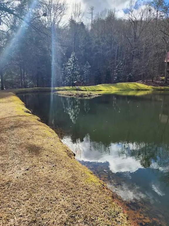 Cozy Cabin: River View With Hot Tub Dahlonega Luaran gambar