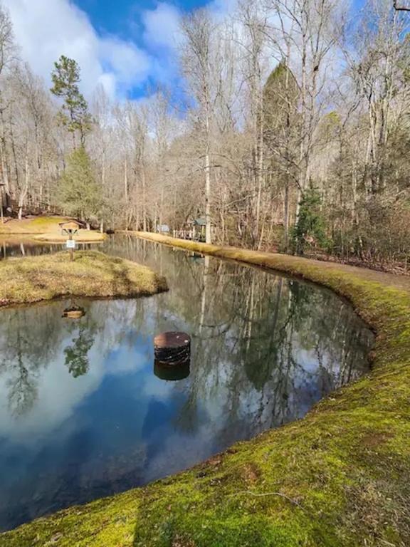 Cozy Cabin: River View With Hot Tub Dahlonega Luaran gambar
