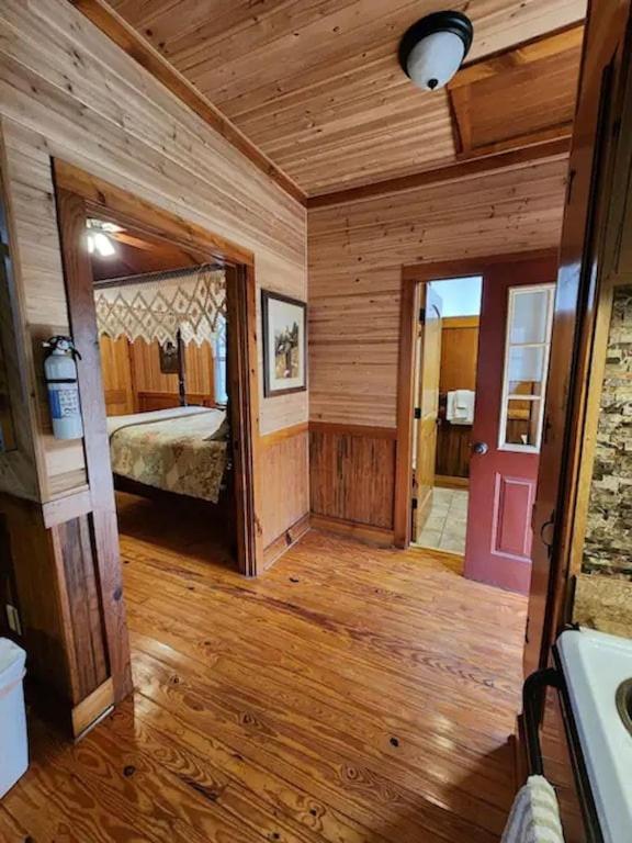Cozy Cabin: River View With Hot Tub Dahlonega Luaran gambar